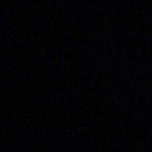 Meet your Posher, Leo